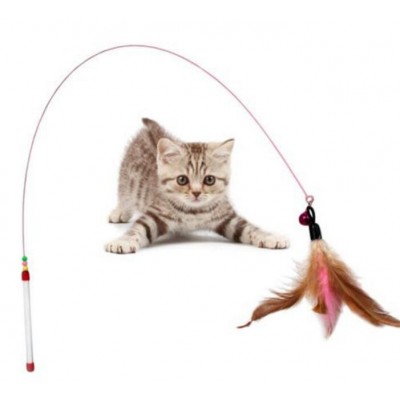 Cat Teaser Charmer Wand Cat Rod Wire Elastic Feather Toy with Bell