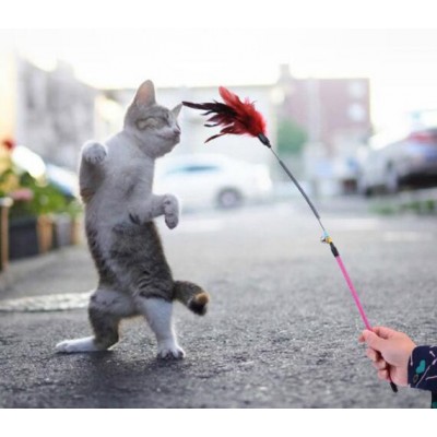 Pet Interactive Toys cat wand with teaser stick toys